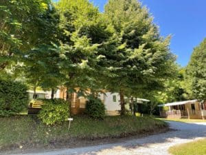chalet montagne noire