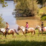 randonnée equestre Lac Bancalie Tarn