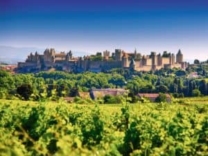 Cité de Carcassonne et vignobles