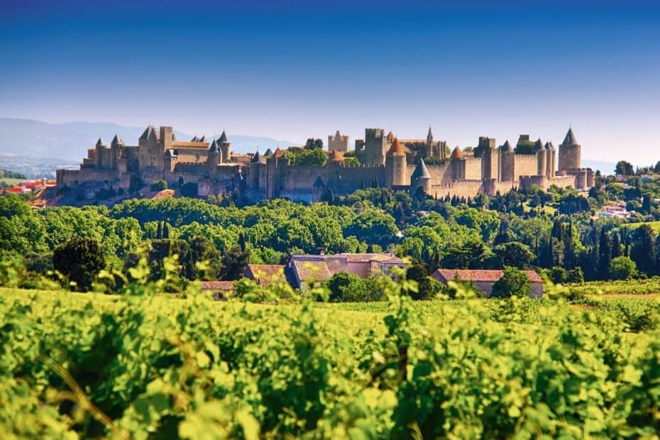 Cité de Carcassonne et vignobles