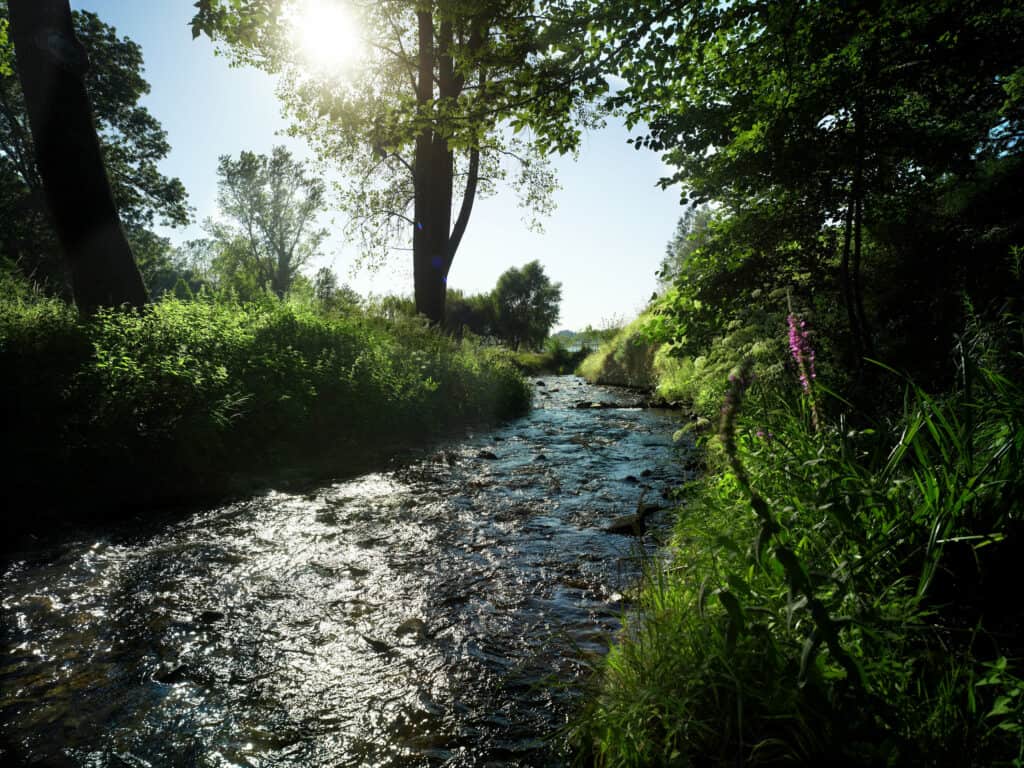 Rigole de la montagne, tarn