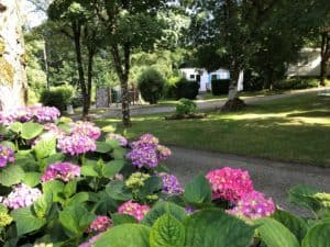 camping hortensias