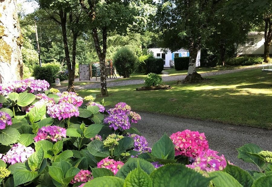 camping hortensias